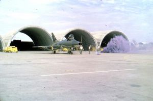 510th Fighter Squadron "Buzzards of Bien Hoa"