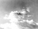 buck 001  148 