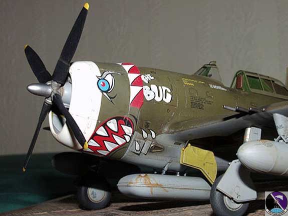 p 47 bug 02 575