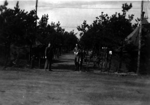 landolt 071