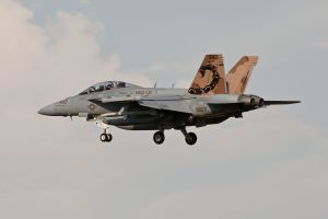 aviano june 02 2011 vendetta14 ea 18g 166894 540 nl vaq 132 nas whidbey island washington rtb aviano june 02 2011 vendetta14 ea 18g 166894 540 nl vaq 132 nas whidbey island washington rtb