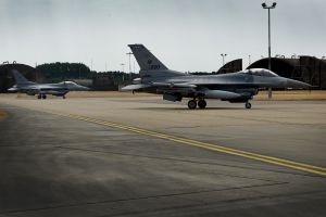 Buzzards breeze into RAF Lakenheath