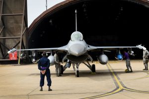 Buzzards breeze into RAF Lakenheath