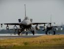 Buzzards breeze into RAF Lakenheath