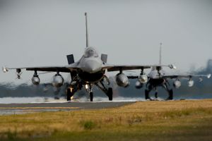 Buzzards breeze into RAF Lakenheath