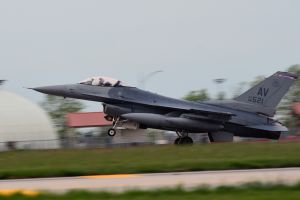 Buzzards return to Aviano Air Base