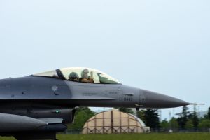 Buzzards return to Aviano Air Base