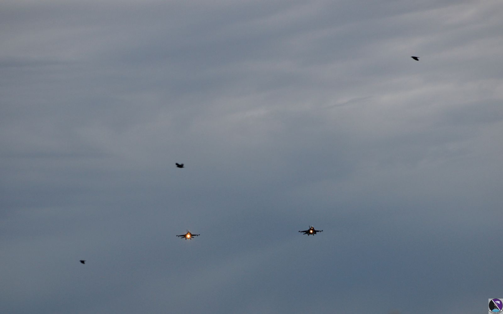 Birds of a feather: F-16s train over Aviano skies