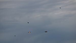 Birds of a feather: F-16s train over Aviano skies Birds of a feather: F-16s train over Aviano skies