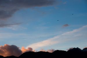 Birds of a feather: F-16s train over Aviano skies Birds of a feather: F-16s train over Aviano skies