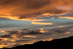 Birds of a feather: F-16s train over Aviano skies Birds of a feather: F-16s train over Aviano skies